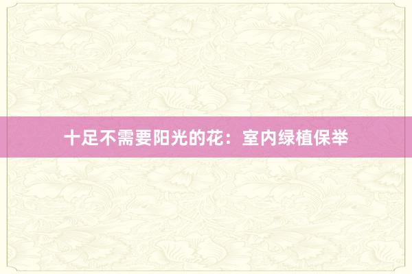 十足不需要阳光的花：室内绿植保举