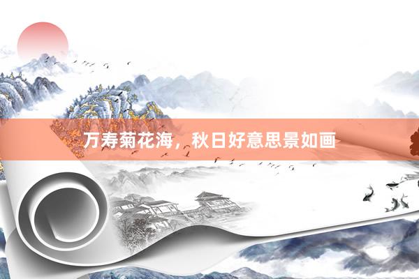 万寿菊花海，秋日好意思景如画