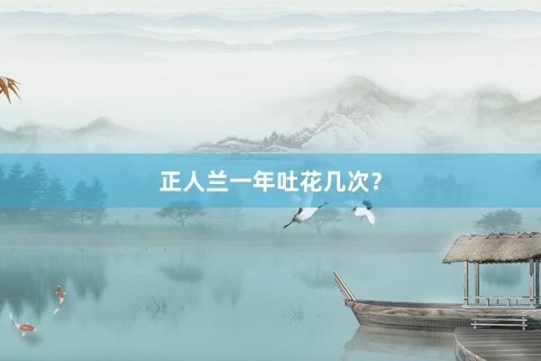 正人兰一年吐花几次？