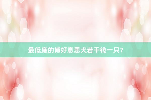 最低廉的博好意思犬若干钱一只？