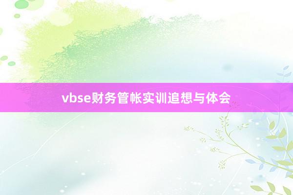 vbse财务管帐实训追想与体会